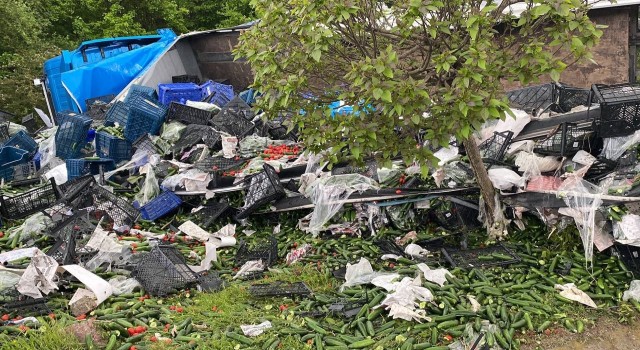 D-100de tır devrildi, sebze kasaları yola saçıldı: 1 yaralı