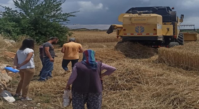 Didimde hububat ekili araziler denetlendi