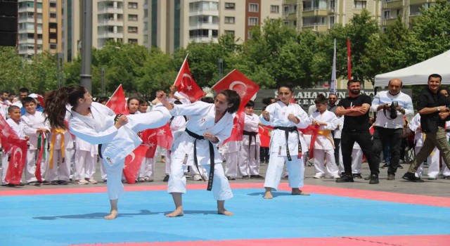 Diyarbakırda 19 Mayıs, halk oyunları ve milli sporcuların gösterileriyle kutlandı