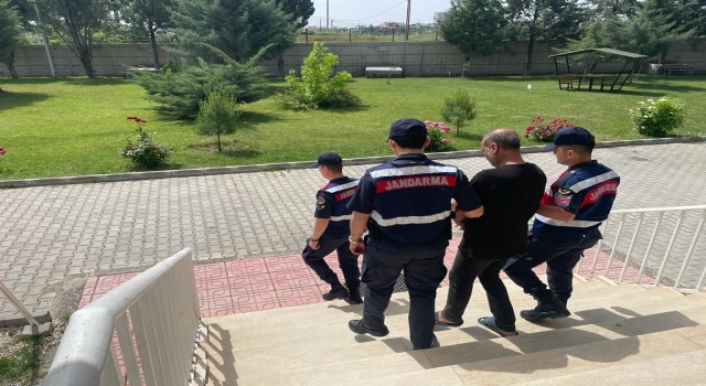 Diyarbakırda firari hükümlüler jandarmadan kaçamadı