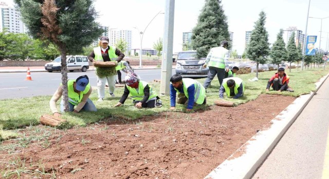 Diyarbakırda kavşak ve refüjlerde peyzaj çalışmaları devam ediyor