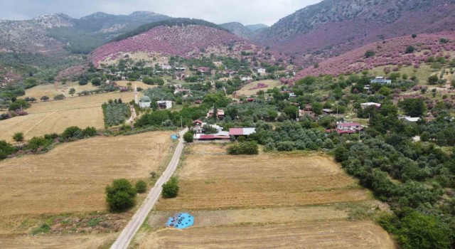 Doğa açık hava fotoğraf stüdyosuna dönüştü