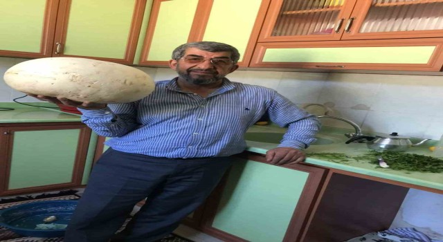 Doğada gezintiye çıkan köylüler 4 kiloluk dev mantar buldu