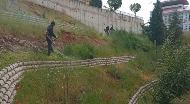 Dulkadiroğlunda çevre temizliği