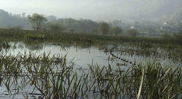 Efteni Gölünde kaçak avlanmaya geçit yok
