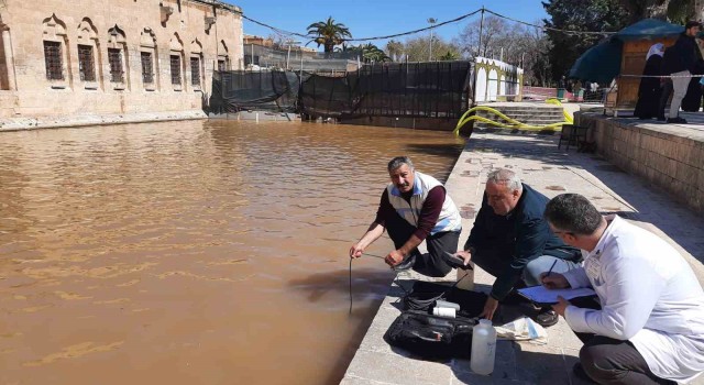 Elazığ Su Ürünleri Araştırma Enstitüsü, Balıklıgölde inceleme yaptı