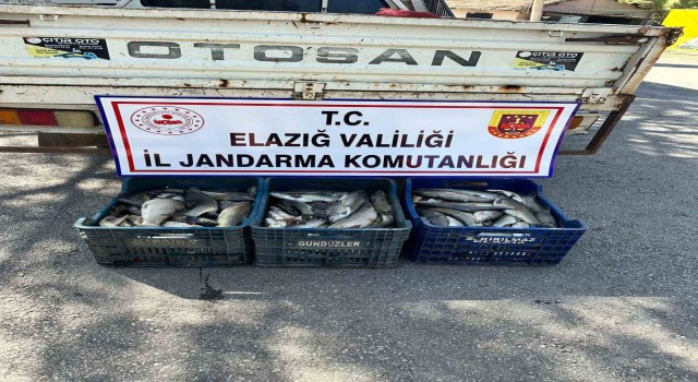 Elazığda kaçak balık avı yapan şüpheli yakalandı