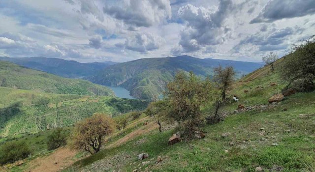 Elazığda makinalı toprak işleme çalışmaları başladı