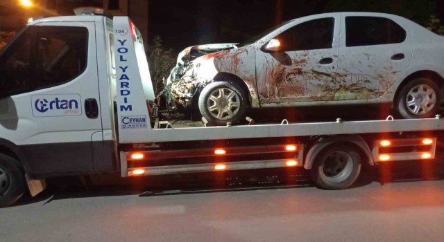 Elazığda otomobil koyun sürüsüne daldı: 2 yaralı