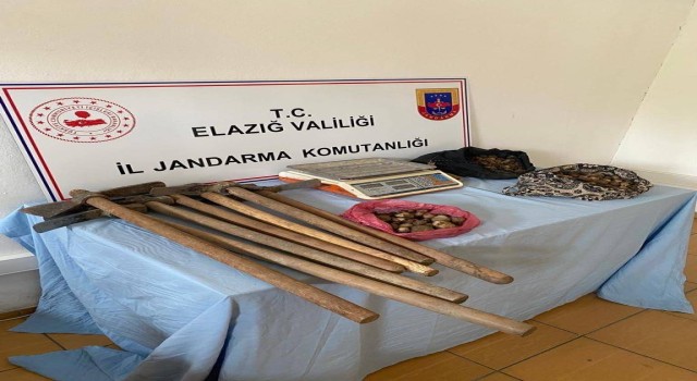 Elazığda salep sağanı toplayan 4 kişi yakalandı