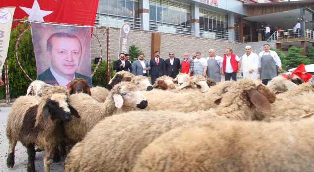 Elazığlı iş adamı, yeniden seçilen Cumhurbaşkanı Erdoğan için 20 adak kurbanı kesti