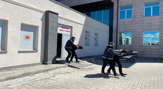 Erzincanda 2 kaçak göçmen yakalandı, 2 kişi tutuklandı