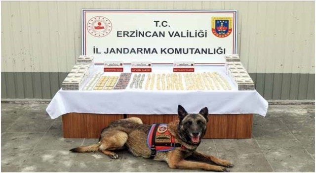 Erzincanda jandarma ekiplerince 11 faili meçhul olayın 10u aydınlatıldı