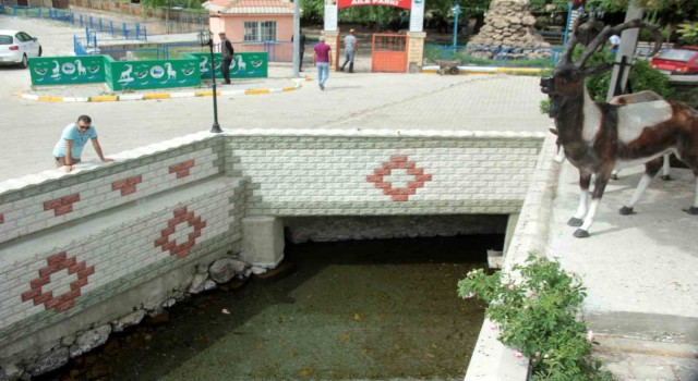 Erzincanda şifalı su
