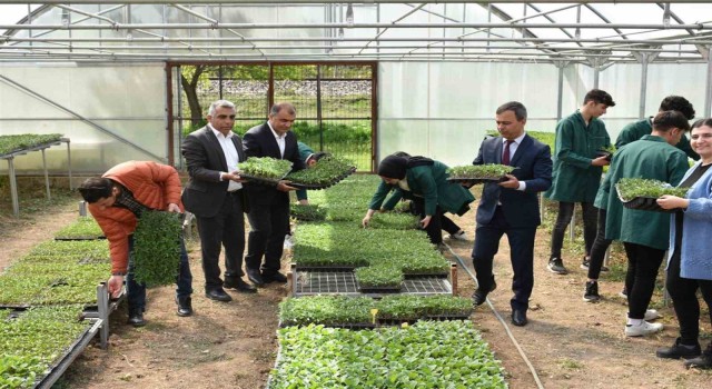 Erzincanda tarım bölümü öğrencileri hem öğreniyor, hem üretiyor