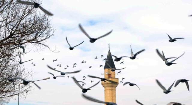 Erzurumda bin 601 cami bulunuyor