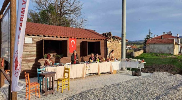 Frig Vadisi Ekolojik Köy Projesinin resmi açılışı gerçekleşti