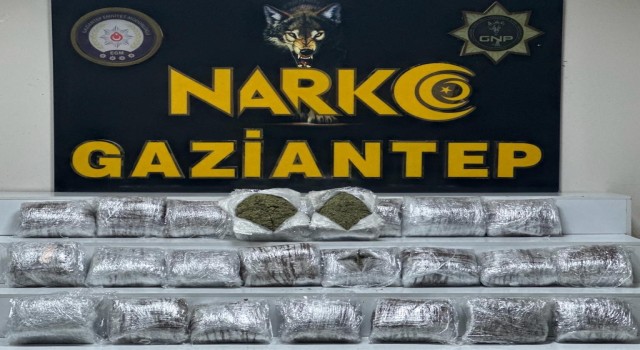 Gaziantepte 24 kilo skunk ele geçirildi