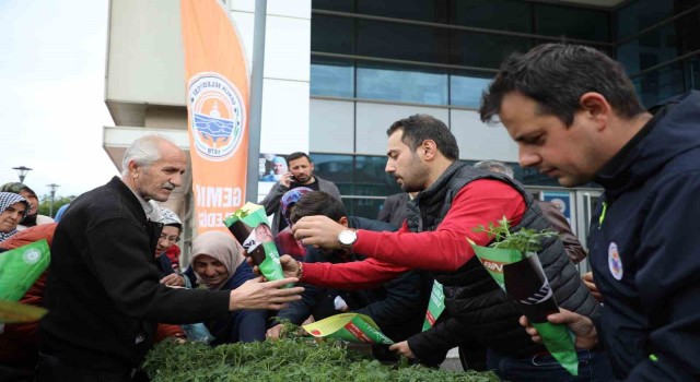 Gemlik Belediyesinden organik tarıma destek