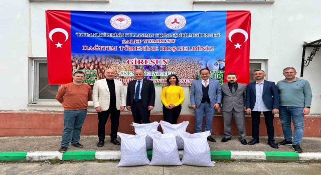 Giresunda fındığa ek gelir için salep tohumu dağıtıldı
