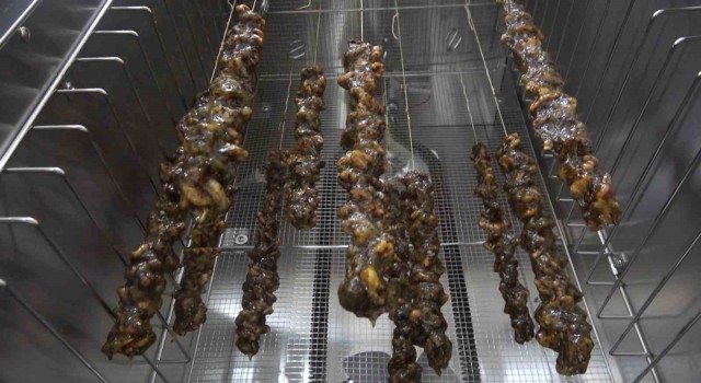 Girişimci kadınlar Türkiyede ilk kez ürettikleri kivi sucuğunun patentini aldı