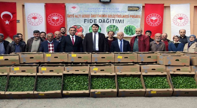 Gümüşhaneden 195 bin sebze fidesi toprakla buluşacak