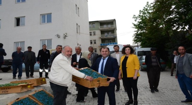 Hakkaride çiftçilere karpuz ve domates fidesi dağıtıldı