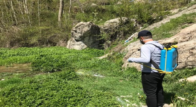 Hakkaride sineklere karşı ilaçlama çalışmaları