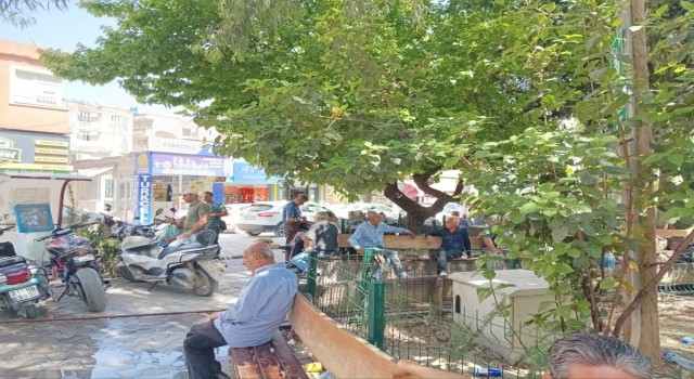 Hatayda sıcak hava etkili oluyor