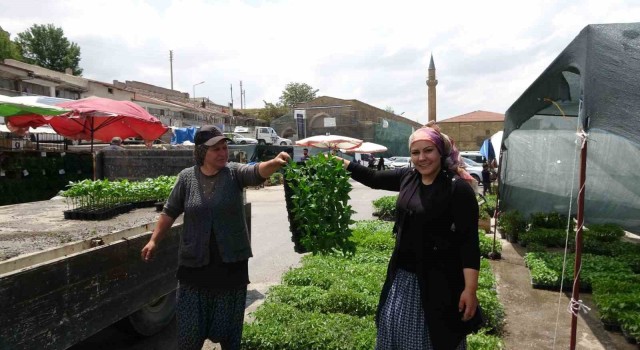 Havaların ısınması fide satışlarına yaradı