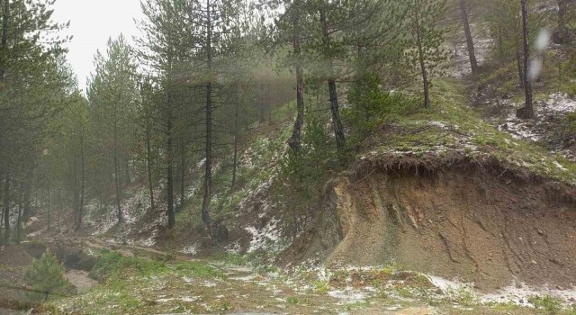 İskilipte sağanak yağış ve dolu etkili oldu