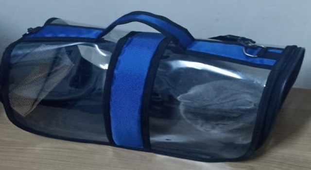 Ispartada çalınan 2 köpek ve 1 kedi HAYDİ ekipleri tarafından bulundu