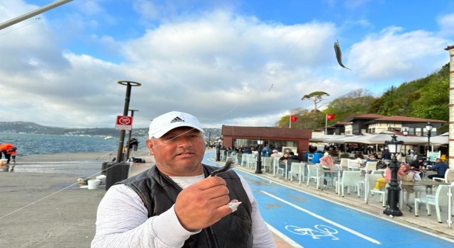 İstanbul Boğazında istavrit bolluğu oltacıları sevindirdi