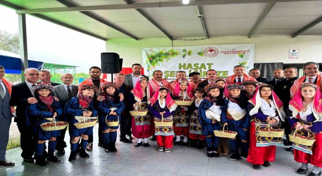 İzmir Kemalpaşada yılın ilk kiraz hasadı yapıldı