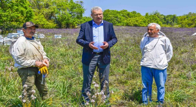 Karacabeyde Longoz ormanlarında görsel şölen