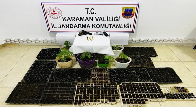 Karamanda fide tüplerinde ekilmiş kenevir ele geçirildi