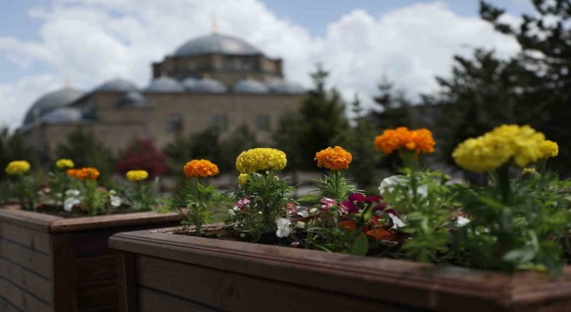 Kars Belediyesinden çevre düzenlemesi