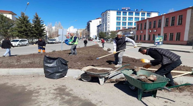 Karsta park, bahçe ve refüjler çiçek açıyor