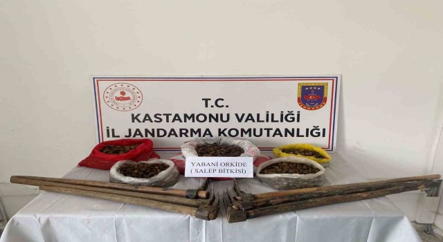 Kastamonuda 22,5 kilogram sahleple yakalanan 3 kişiye ceza