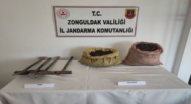 Kdz Ereğlide 32,2 kilo salep soğanı ele geçirildi