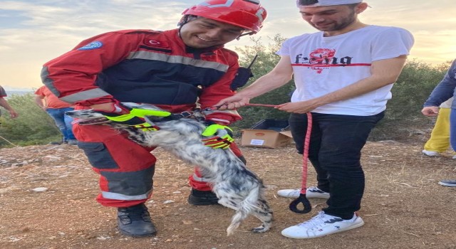 Kendisini kurtarmaya gelen itfaiye erini görünce sevgi gösterisi sergiledi