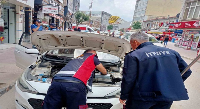Keşanda itfaiyenin kurtardığı kedi, hayvansever tarafından sahiplenildi