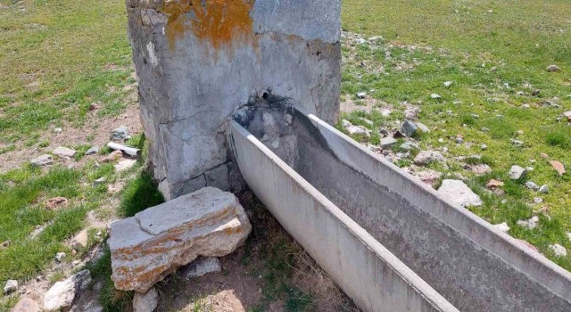 Kırkada hayvanlar susuz kalmayacak