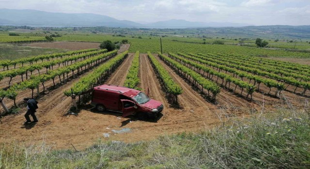 Kontrolden çıkan ticari araç üzüm bağına düştü: 2 yaralı