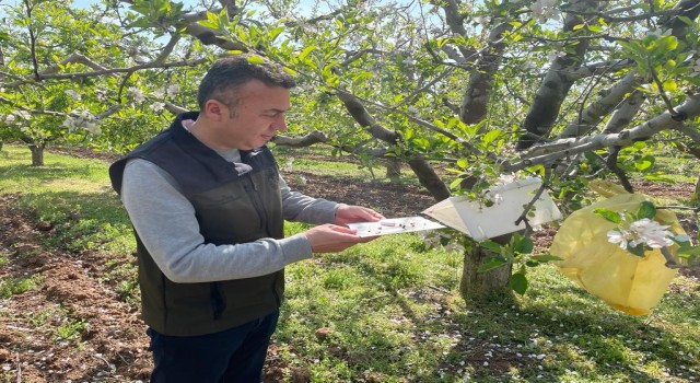 Konyada zararlılar kameralı tuzak sistemi ile takip edilecek
