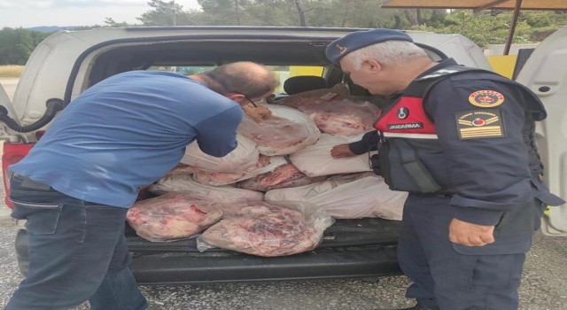Köyceğizde kaçak hayvansal ürünler ele geçirildi