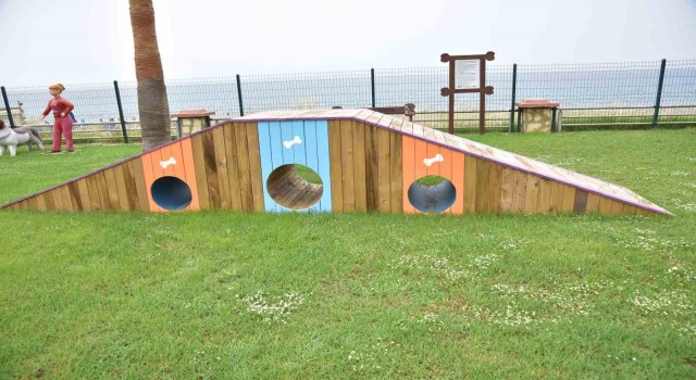 Mahmutlar Mahallesinde köpekler için oyun ve eğitim parkını hizmete açıldı