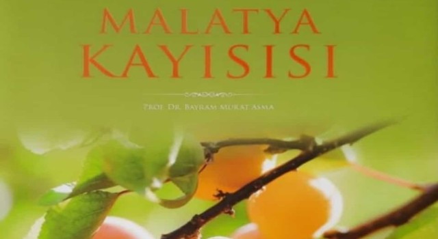 Malatya kayısı isimli kitap ödüldü getirdi