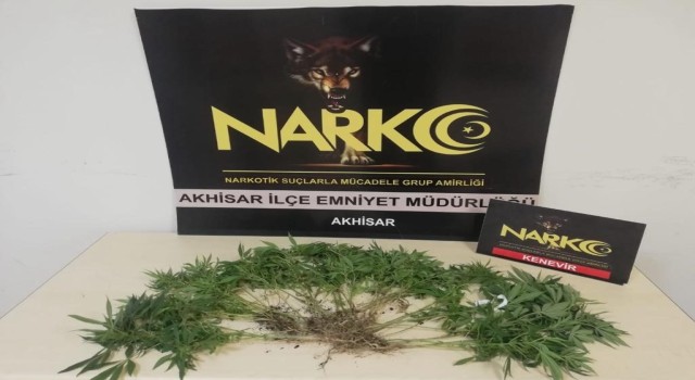 Manisada uyuşturucu operasyonu