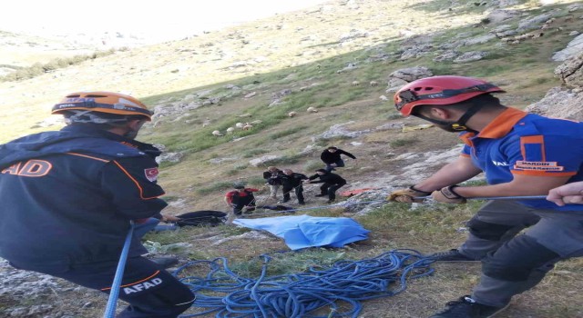 Mardinde kayalık alandan düşen şahıs iki gün sonra yaralı kurtarıldı